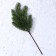 Decor "Branch of wonderful spruce"