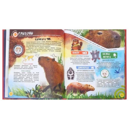 4D encyclopedia in augmented reality "Animal World"-12