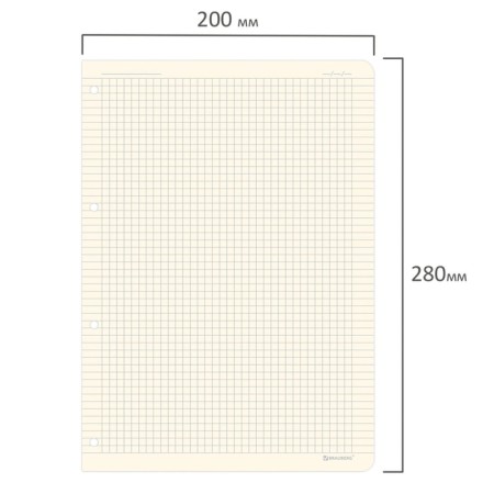 Smooth block for a notebook on rings large A4 120 l, Brauberg, 70g/m2, cream 404517-2