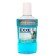EXE Extra Fresh Extra Observative of the Extra, Blue, 250 ml