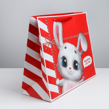 Gift package laminated, packaging, “package”, XL 49 x 40 x 19 cm-2