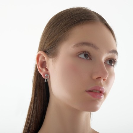 Earrings Metal "Frog", color silver-3