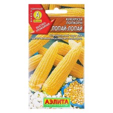Popcorn corn seeds 