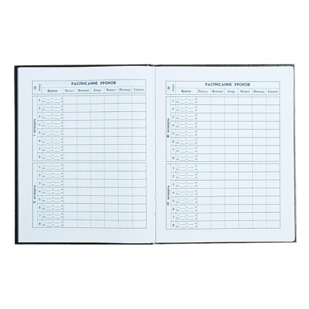 School diary for grade 1-4, "bomber", cover covered paper, glossy lamination, embossing foil, universal cheat sheet, 48 sheets, block 65g/m2-7