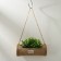 Plastic, suspended pot, 20 × 8 cm