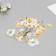 Interior plastic sticker "Narcissus" 40x31 cm