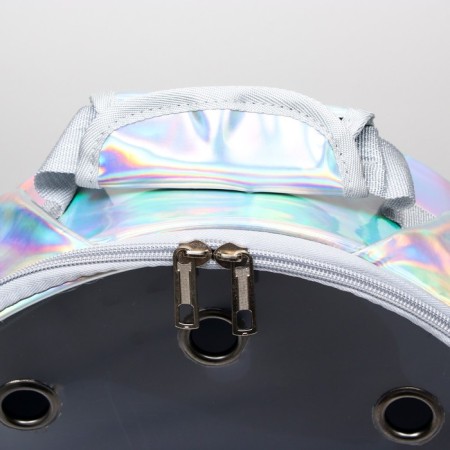 Round backpack for carrying animals, transparent, 26 cm, gray-4