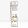 Seedling rose Plesy "Klaiming Iceberg", tube, 1 pc, spring 2025