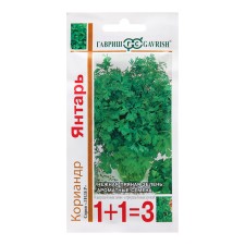 Coriander seeds 