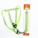 The reflective “bones” set, a collar 120 x 1 cm, Osh 26-42 cm, fire 26-42 cm, green