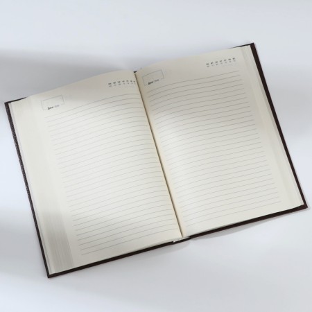 Deliciper of Leduced A5, 160 liters. Solid cover. Leatherette. Cream block. "Crocodile"-6