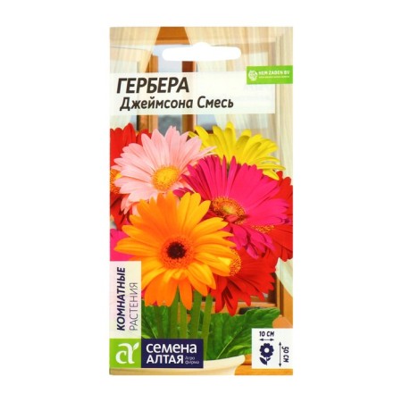 Herbera Jameson's indoor flower seeds "Smush", 0.04 g