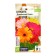 Herbera Jameson's indoor flower seeds "Smush", 0.04 g