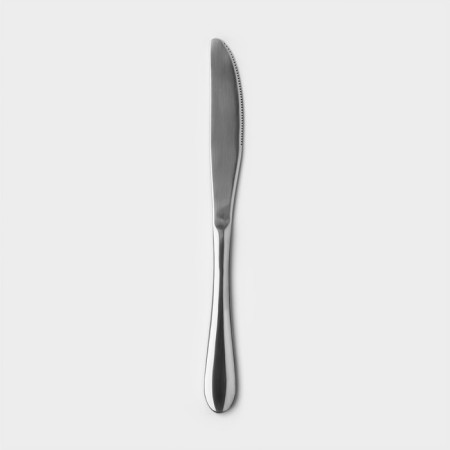 Stainless steel knife, length 23 cm, silver color