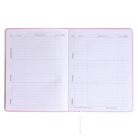 Universal diary for the 1-11 grade Donut CAT, hard cover, artificial leather, foam rubber, lies, 80 g/m2-6