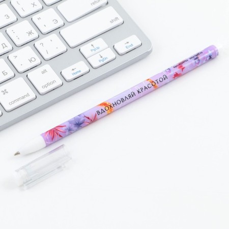 Handle Blue Blue Paste 0.5 mm with a cap “Inspecting beauty” Plastic-5