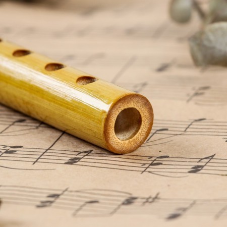 Flute Music Life, 24 cm, 6 holes, tonality C-3
