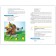 Modeling in kindergarten. From 5 to 6 years. Summaries of classes. Koldin D.N.