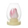 Nightmare "Candle in the glass" 3xlr44 White-transparent 6x6x8.5 cm Risalux