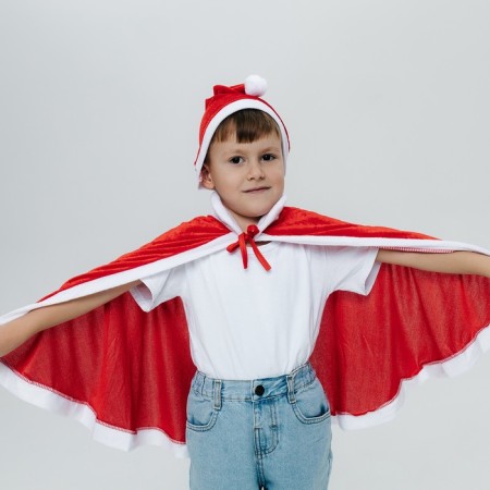 Carnival set "New Year's miracle": cape and cap-5