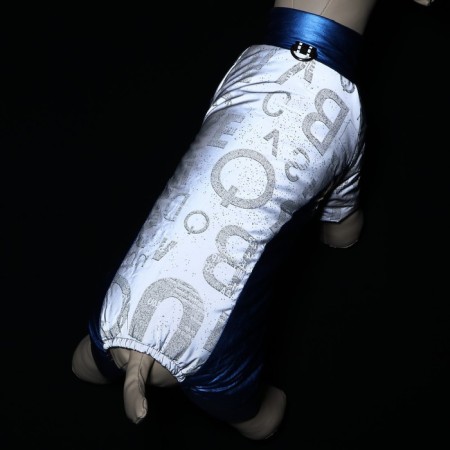 Summarizers "Ultra", size 12 (DS 28 cm, OG 38 cm, Osh 27 cm), blue-3
