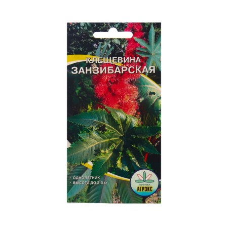 Flower seeds Kleschevina Zanzibarskaya, 2 pcs