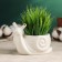 Pot "Snail" 13x9x9cm