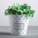 Flower pot, flower Garden Kashpo, 0.8 l, 11 x 12 cm