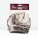 Signfofia hybrid alcap, rr I, 1 pc, spring 2025