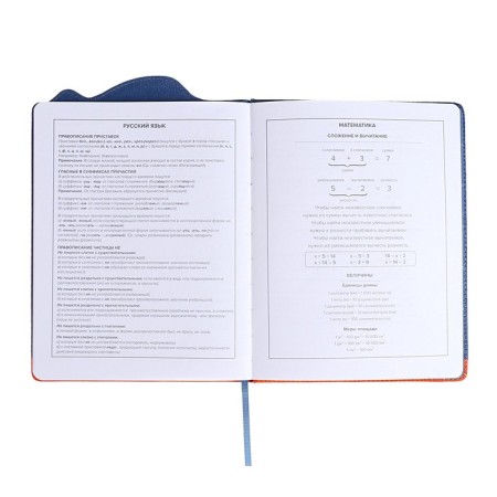 School diary for grades 1-11, "Shibaine in a shark costume", a solid cover with foam rubber, artificial leather, figured cutting, liesse, 48 sheets, block 80g/m2-9