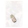 Auto Stuffing Diode SkyWay S25 (P21W), 12-24 V, 10 SMD diode Bay15D, 2 -ok Bipolar, white