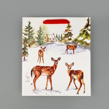 Package Gift New Year Laminated "Walk in the Winter Forest", m 30 x 26 x 9 cm, new year-3