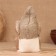 Brownie "Favorite with a chest", 17x11x7 cm