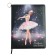 Universal Diary Grade 1-11, 48 sheets "Princess-ballerina", solid cover of artificial leather, lies, universal cheat sheet, block 80 g/m2