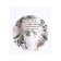 A set of paper dishes is a one -time nature ”, 6 glasses, 6 plates