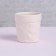 Gypsum for gypsum “Chamomile” Pokska 6 cv 2.5 ml, brush