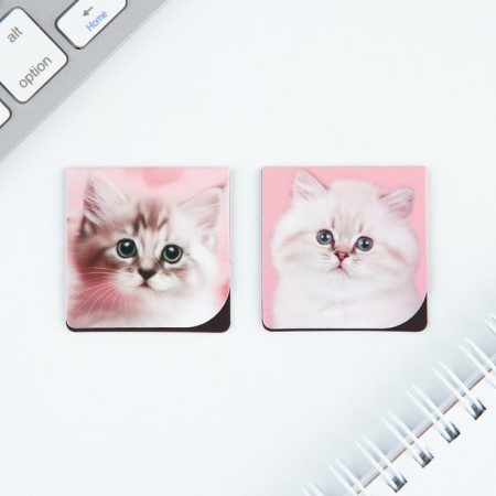 Set of notebook A6, 32 sheets, stickers, magnetic bookmarks "Cute kitten"-2