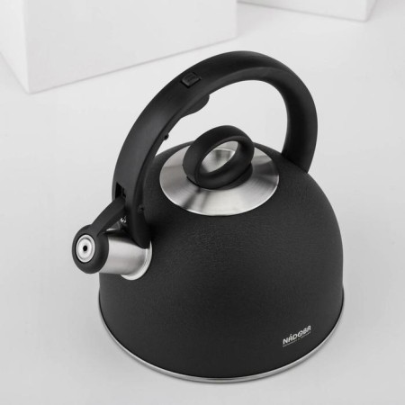 A kettle with a whistle Nadoba Anesa, 2.5 l-1