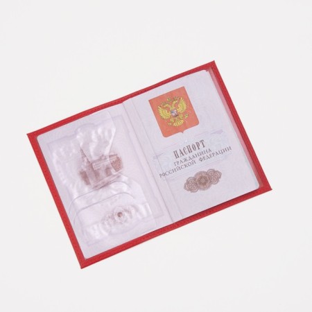 Cover for passport, red color-4