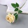 Flowers artificial "Tea extracks" D-7 cm 44 cm, yellow