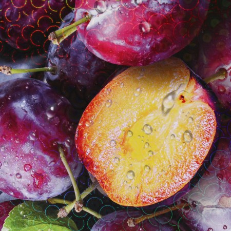 Groot board "Juicy plum" 27x18 cm-6