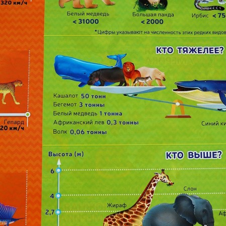 Nast -sided bilateral map "Our planet. Animal and plant world", geod, 58x38 cm-3