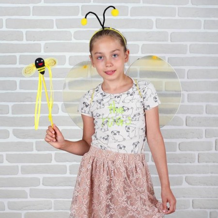 Carnival set "Bee", 3 objects: wings, wand, rim, 3-5 years-1