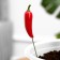 Set of plugs "Sharp pepper" 10pcs, 3cm, length 25cm