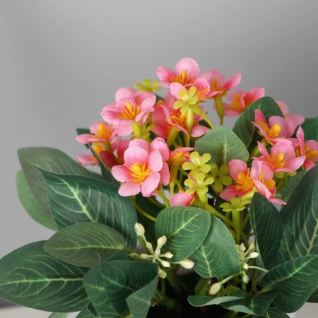 Bonsai in the pot "Elegant primrose" 9,5x22 cm, mix-1