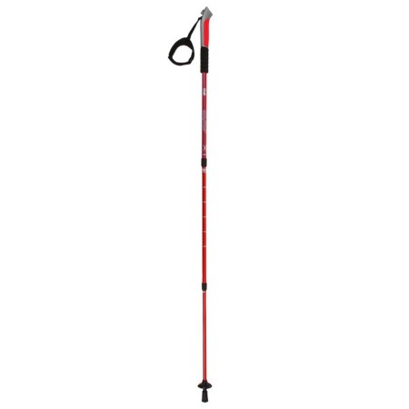 Sticks for Scandinavian walking online, telescopic, 3 sections, up to 135 cm, 2 pcs., Mix color-7