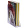 Paper tray Vertical Stamm "Asset", tinted purple, width 70mm