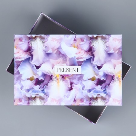 Rectangular gift box, packaging, Pressent, 26 x 17 x 10 cm-2