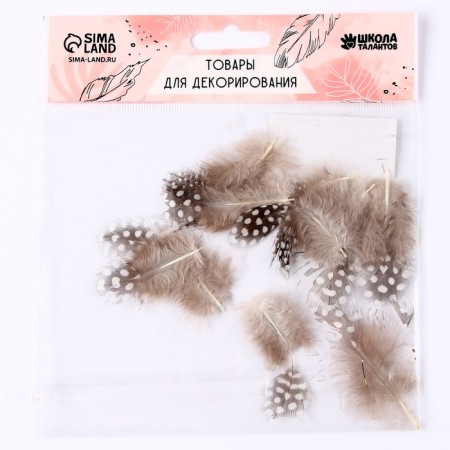 A set of feathers for decor 10 pcs., Size 1 pcs: 5 × 2 cm, brown color with white-2