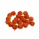 Boilles "Master Karp", Vanilla, 10 mm, 20 pcs.